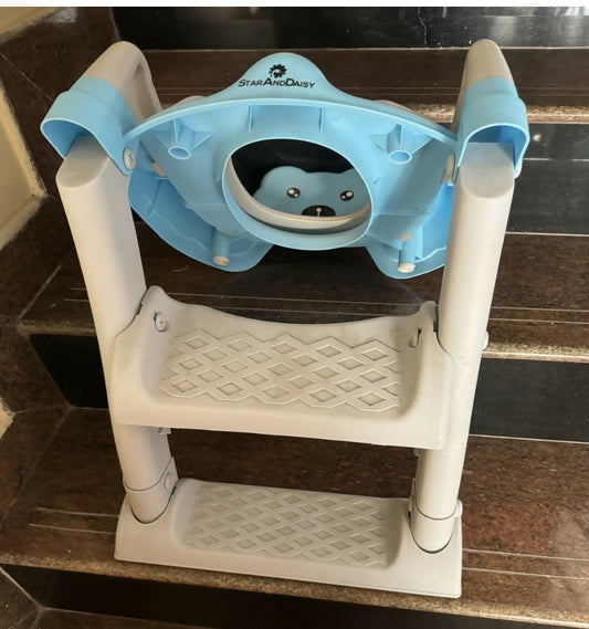 Star and daisy potty training seat with ladder