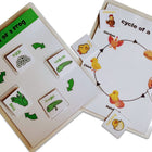 ZOOPLAY 4 Lifecycle Activity