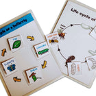ZOOPLAY 4 Lifecycle Activity