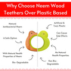 BABYCOV Cute Frog and Porcupine Natural Neem Wood Teethers for Babies | Natural and Safe | Goodness of Organic Neem Wood | Both Chewing and Grasping Toy | Set of 2 (Age 4+ Months) - PyaraBaby