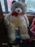 Teddy Bear Soft Toy