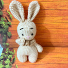 Crochet Bunny/Rabbit
