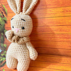 Crochet Bunny/Rabbit