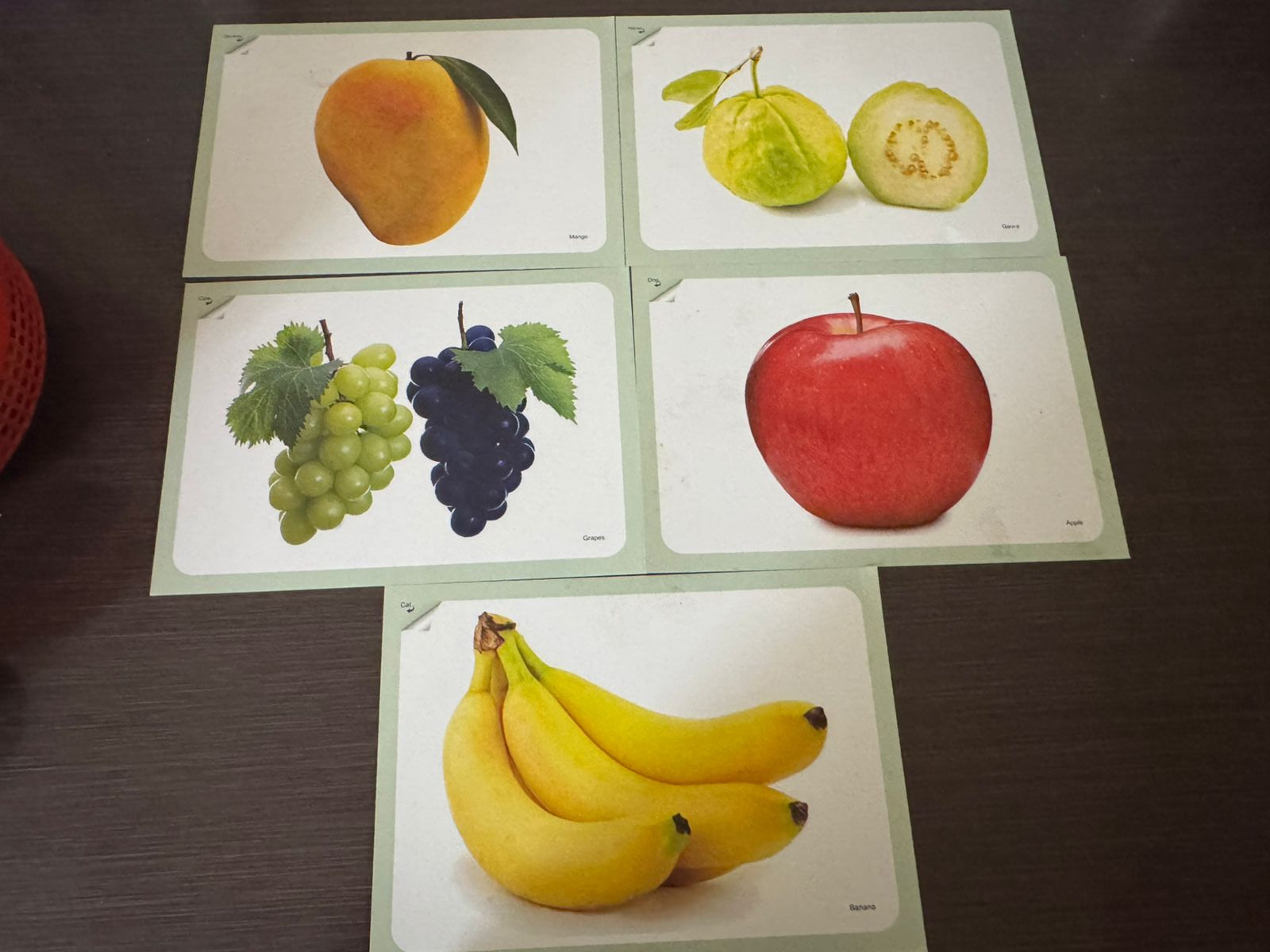 Early Learning Flashcards & Spiral Book Set 