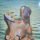 ETL Learning Books Include - 25 Books