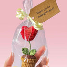 Crochet flower pots – handmade, colorful, and perfect for adding charm to your home or workspace.

