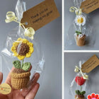 Crochet flower pots – handmade, colorful, and perfect for adding charm to your home or workspace.

