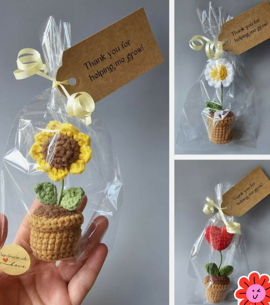 Crochet flower pots – handmade, colorful, and perfect for adding charm to your home or workspace.

