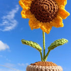 Sunflower Pot Crochet