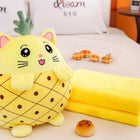 Soft Toy Cum Blanket