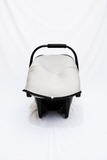 R for Rabbit Infant Car Seat Carrier Newborn Travel Cot With Canopy