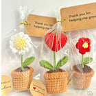 Crochet flower pots – handmade, colorful, and perfect for adding charm to your home or workspace.


