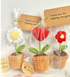 Crochet Flower Pots