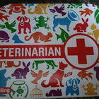 SCHYLLING TOYS Veterinarian Kit