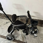 BABYHUG Tricycle Black with Canopy