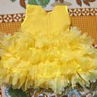 Partywear Frock/Dress for Baby Girl – Elegant & Stylish Outfit for Special Occasions
