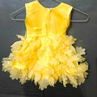 Partywear Frock/Dress for Baby Girl – Elegant & Stylish Outfit for Special Occasions
