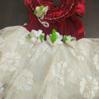 Girls Partywear Frock/Dress ( Combo of 2)