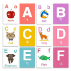 ILEARNNGROW Alphabets Flash Cards for kids learning, Educational Activities, Learning the Alphabet, Letter Identification, Early Childhood Education - PyaraBaby