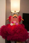 1st Birthday Heavy Handwork Pearl Eavy Ruffles Fioidered Yorst Birthday Frock/Dress