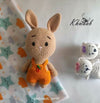 Crochet Amigurumi Bunny