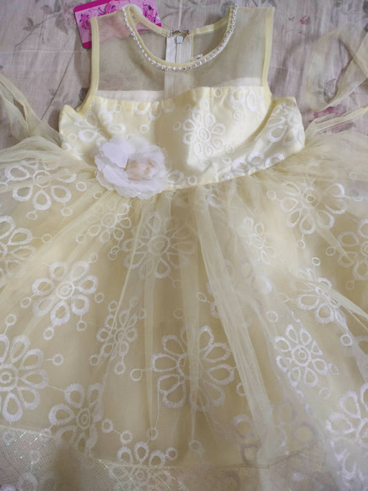 1st Birthday Frock/ Party wear frock - Brand new - PyaraBaby