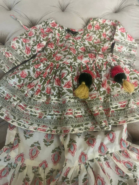 Jaipur Print Ethnic Dress with Sharara - PyaraBaby