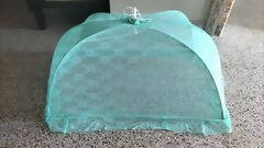 BABYHUG Bed With Mosquito Net And Pillows - PyaraBaby