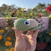 Mini Turtle